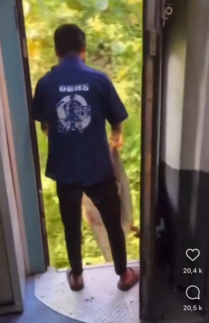 Environmentalists would ignore this for fear of being called racist.  #news #cleanupcrew #unionlabor...