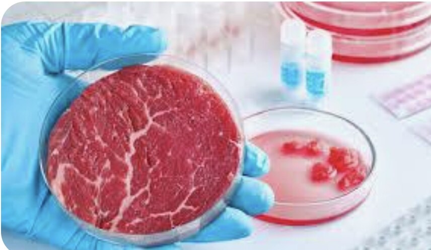 #via777_news 
#foodsafety #foodsupply #artificialmeat #3dprinter
Meat from the 3D printer not yet be...