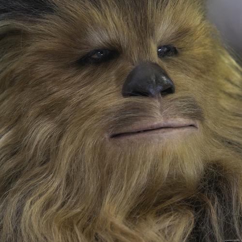 Visit Oldskool58's profile on GETTR. View their posts, photos, videos, and connect with them on the social platform.