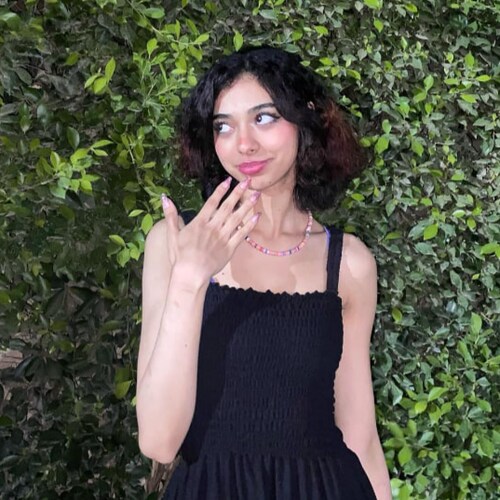 Gamer,Traveller,Entertainer