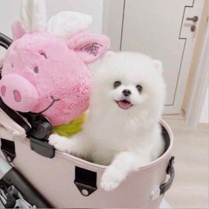 I'm in the apparel industry, motivated to get bigger and better, and a freelance investor, a big Trump fan, and will be ...