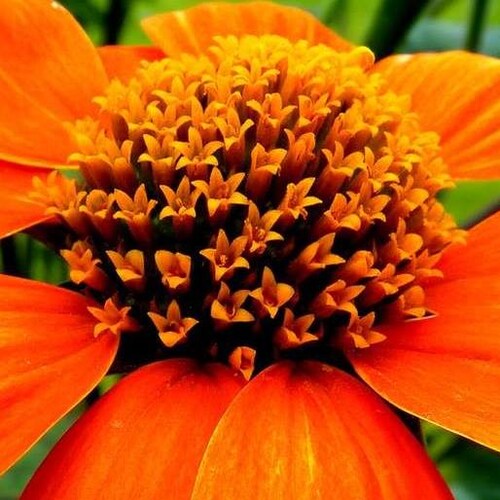 Visit le baroudeur's profile on GETTR. View their posts, photos, videos, and connect with them on the social platform.