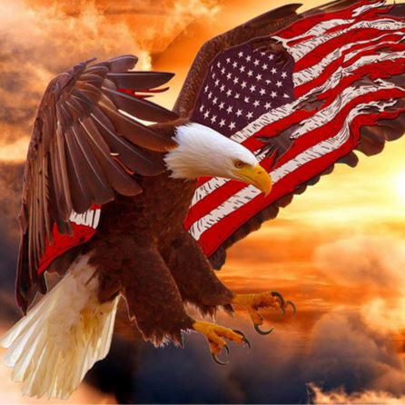 Freedom is a gift given to us by those who died to preserve it...WWG1WGA #IFBAP