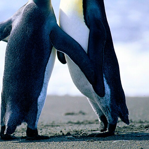 Visit ujjhfd's profile on GETTR. View their posts, photos, videos, and connect with them on the social platform.