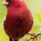 Visit obyshelegey's profile on GETTR. View their posts, photos, videos, and connect with them on the social platform.