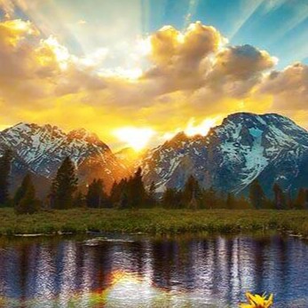 Visit CathyMorgan's profile on GETTR. View their posts, photos, videos, and connect with them on the social platform.