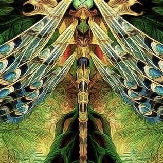 MAGA  DRAGONFLYQUEEN,   BELIEVE IN THE Constitution Constitution,  2nd Amendment , this is dragonflyqueen,   please find me ,