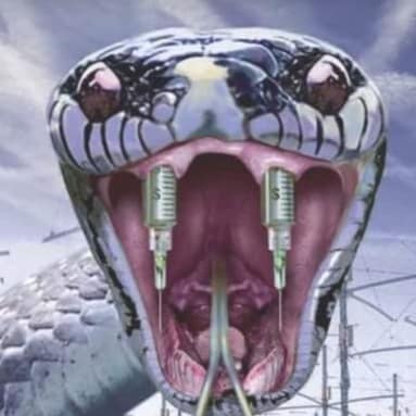 Visit tiquemousse's profile on GETTR. View their posts, photos, videos, and connect with them on the social platform.