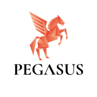 Pegasus Funding Solutions are experts at navigating the complex and choppy waters of business finance.