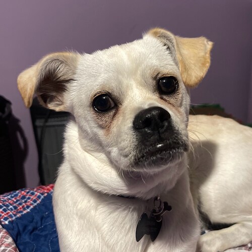 Visit Rams🇺🇸🍊🗑️👷‍♂️🍟🇺🇸🍊's profile on GETTR. View their posts, photos, videos, and connect with them on the social platform.