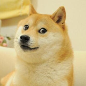 Visit youbetter_today's profile on GETTR. View their posts, photos, videos, and connect with them on the social platform.