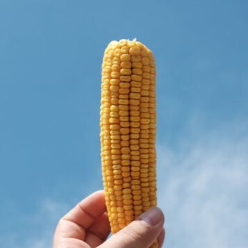 Visit jordangimson's profile on GETTR. View their posts, photos, videos, and connect with them on the social platform.