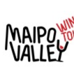 Discover Maipo Valley's finest wines and stunning landscapes with expert-guided tours. Book now!