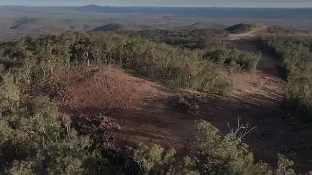😡😡😡
Net Zero Insanity.
Queensland, Australia is destroying a huge area of ancient forest to build...