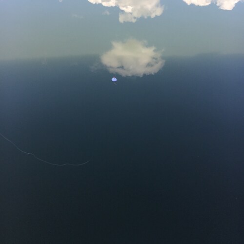 I’m watching and looking for true patriots 1A, 2A you might need to buy more AMMO GOD WINS
don’t bring a knife to a Big ...