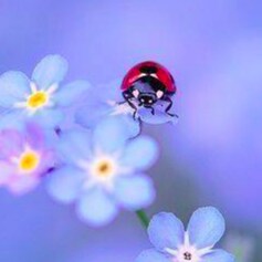 Recipe for a good life: Be fearless. Love God, Country, Family, Freedom, Truth, & Peace. #Trump2024 #SaveAmerica #Pray |...