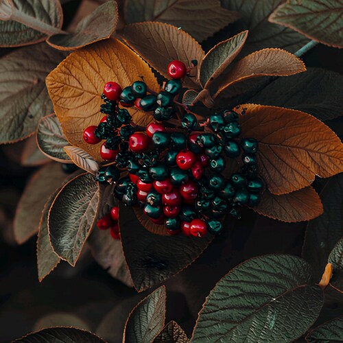 Visit jimmy_777's profile on GETTR. View their posts, photos, videos, and connect with them on the social platform.