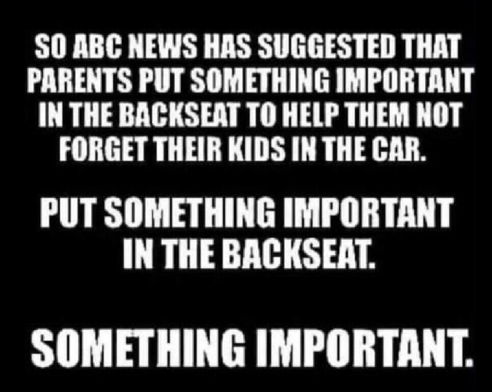 ABC NEWS SHOWS WHY THEY ARE ANTI MAGA AND ANTI TRUMP EVERYDAY
