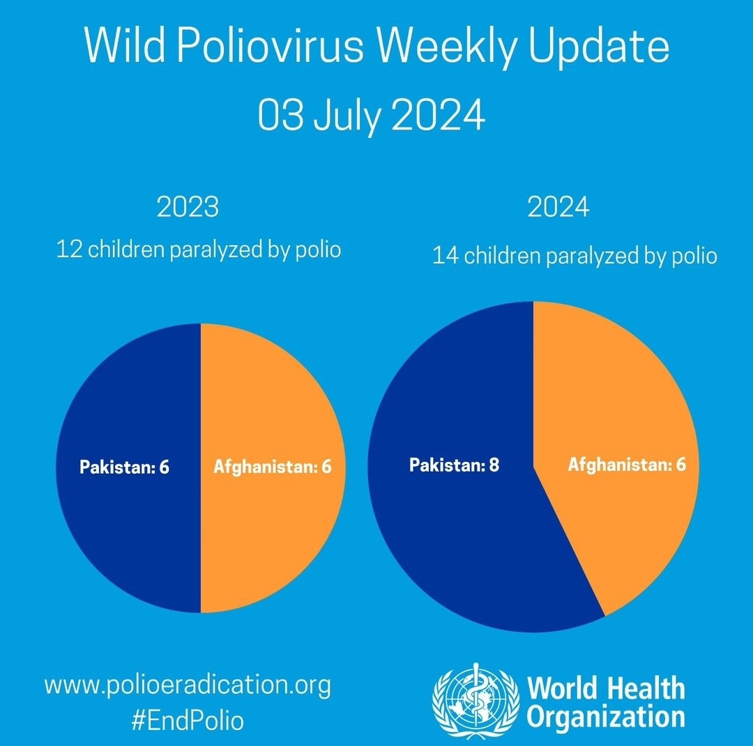 OS CASOS DE POLIOVÍRUS SELVAGEM OCORRIDOS EM 2024, JÁ SUPERARAM 2023

Atualização semanal de casos d...