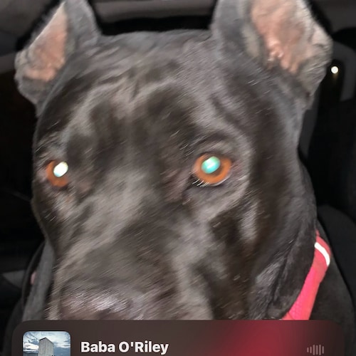 Visit sloanrick74's profile on GETTR. View their posts, photos, videos, and connect with them on the social platform.