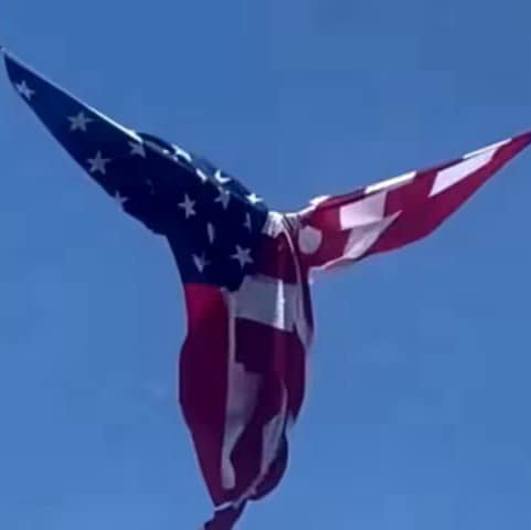 Onward Christian Soldiers
PERSEVERANCE and FAITH
God’s word is my plum line.
Christian, Patriot and proud Deplorable