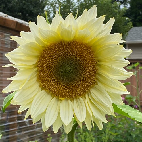 Visit Romans11_17's profile on GETTR. View their posts, photos, videos, and connect with them on the social platform.