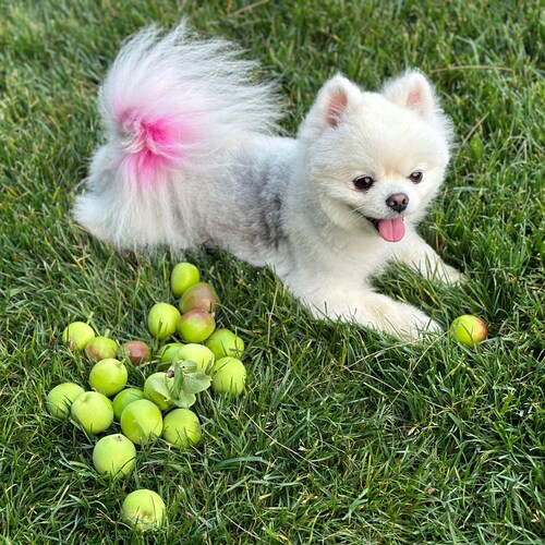 欢迎来到德国纽伦堡正义农场医疗部，我们有在线医生互助区为大家答疑解惑🙏🌹

https://discord.gg/f37QM88GBR