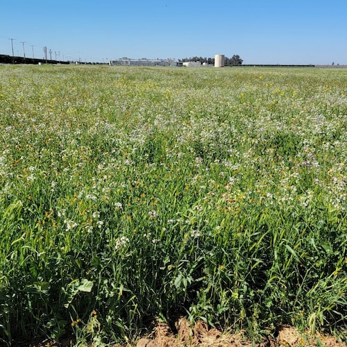 Father
Grandfather ,Patriot ,Veteran,Libertarian, Believer, Beekeeper and over user of commas,so I'm told 🤣 LESS GOVERN...