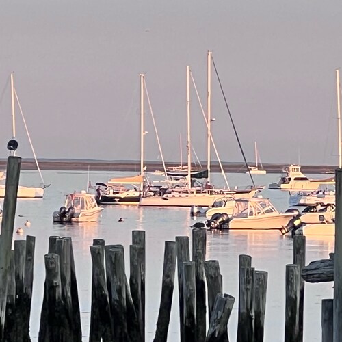 God Bless the USA.
🍊🍊🍊terms.
They made him a felon, we will make him President.🇺🇸