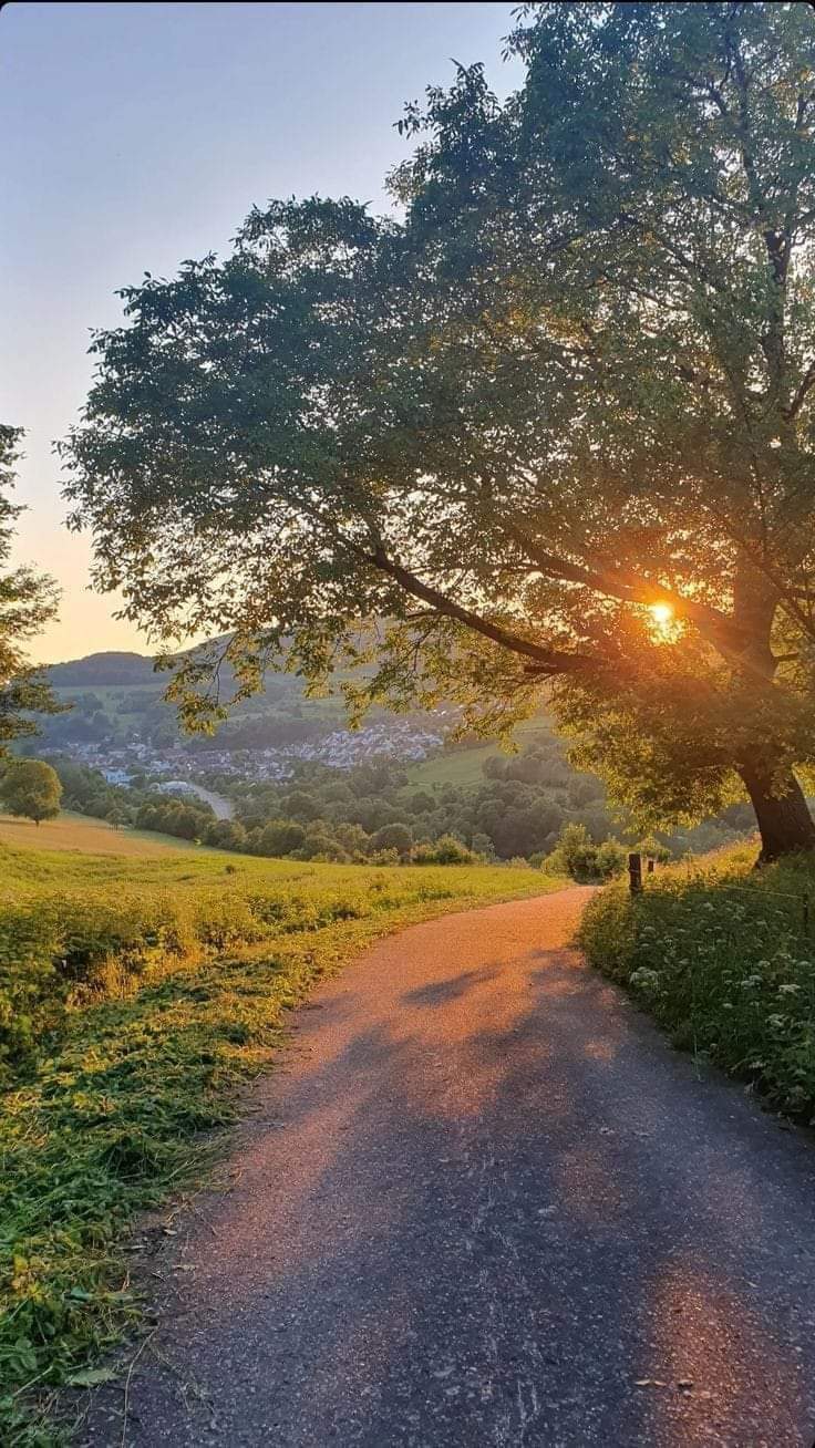 Texto do Gov. Israel Alfonso:

Apesar de ser uma preocupação de vários anos, o Rotary International,...