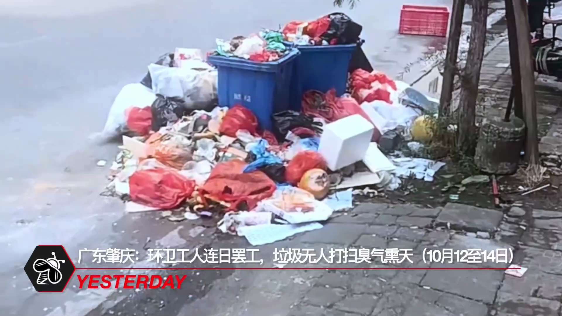 广东肇庆：环卫工人因工资被拖欠，连日罢工，垃圾无人打扫，臭气熏天

🗨️共产党真没钱啦。

#新中国联邦 #郭文贵 #中国人不等于中共 #超限战 #脱钩
