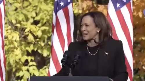 😂😅💩The amount of horse shit coming out of Kamala's mouth is starting to attract flies.
