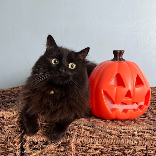 I must not fear. Fear is the mind-killer.