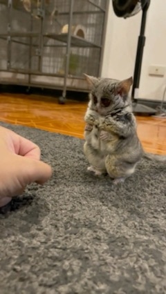 Jack Lee on GETTR : little cutie