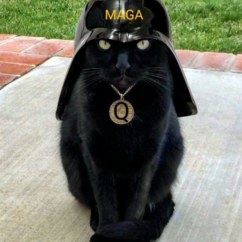 Keep in mind while watching this hearing on RFK that the co-chair @SenWyden was already caught in a ...