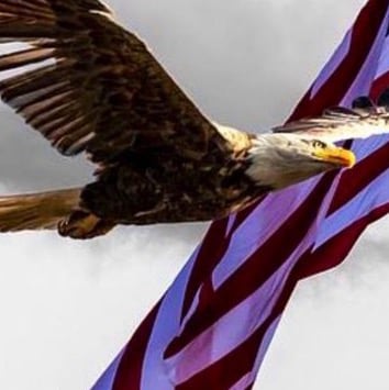 PROUD NAVY VET WIFE 30+ yrs, Mother of two & Grandmother of three Beautiful Granddaughters & I am A PROUD 45 SUPPORTER 🇺🇸🤗When we use pronouns we are lying!