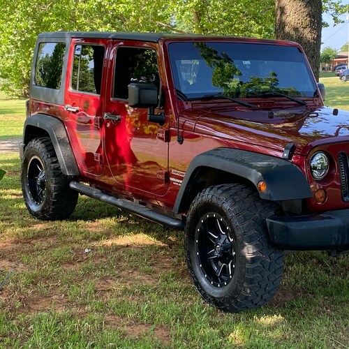 Republican constitution supporter Trump supporter trump won the election