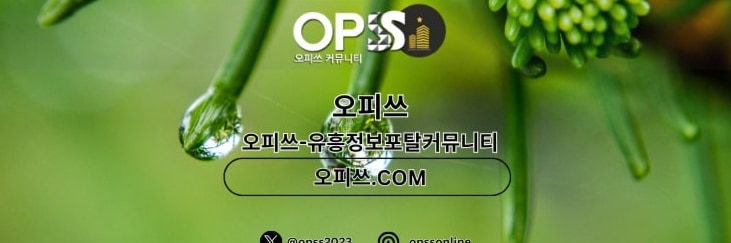 역삼오피 출장마사지안내.COM 역삼OP