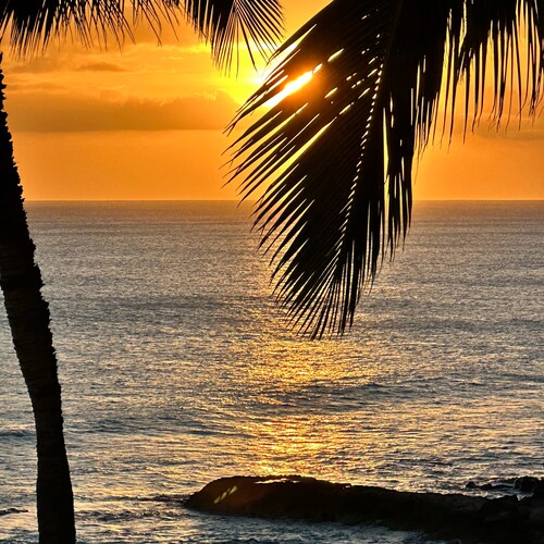 Christ follower, husband, father, grandfather, America First