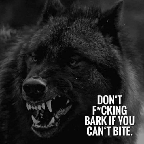 Single and Proud conservative norse heathen. Child of Norse Gods