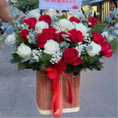 Đặt hoa khai trương Bạc Liêu giao hàng miễn phí
Hoa khai trương Bạc Liêu là sự lựa chọn hoàn hảo để gửi những lời chúc ...