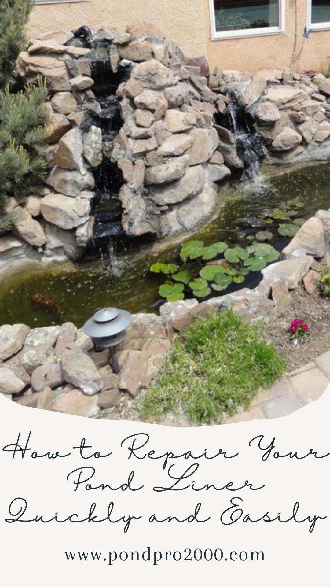 How to Repair Your Pond Liner Quickly and Easily

A damaged pond liner can lead to water loss and un...