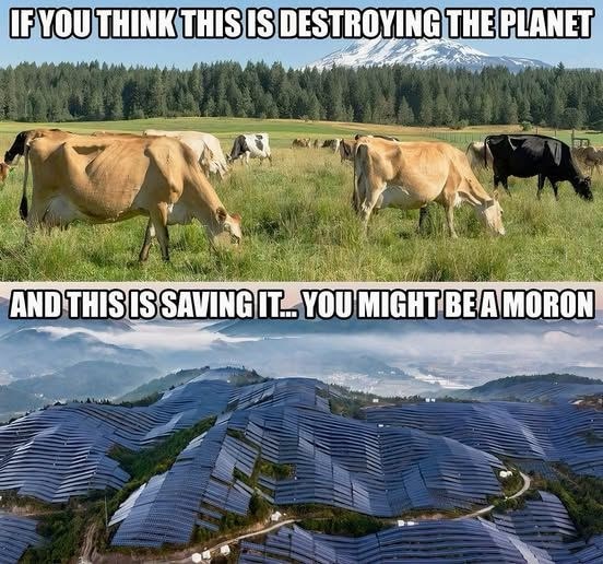 There is nothing worse for the planet then an idiot with tons of money trying to convince the world that cow farts are bad for the environment. Like Bill Gates.
