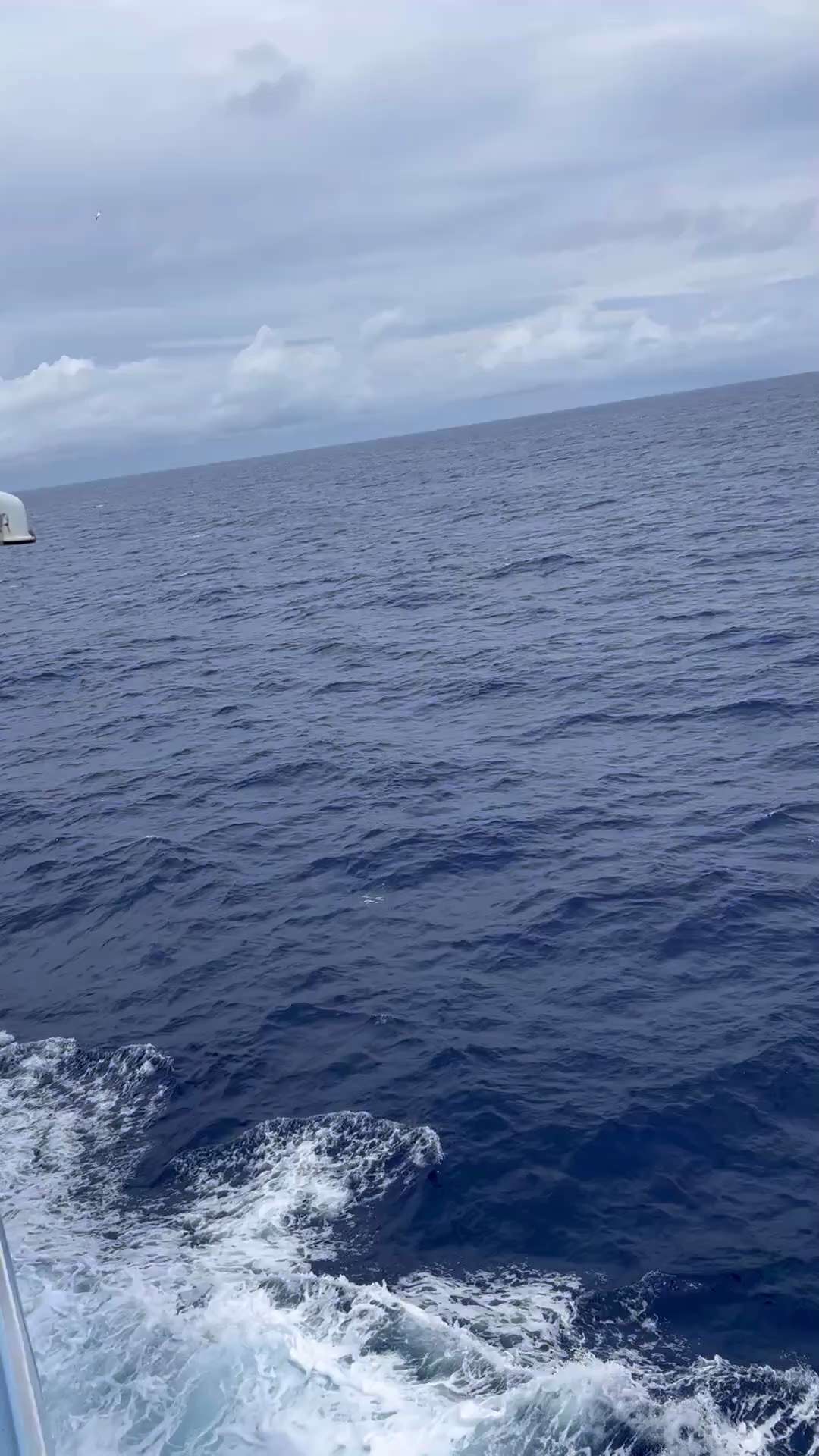 #野兽出没😈湛蓝的海水太美啦🎉