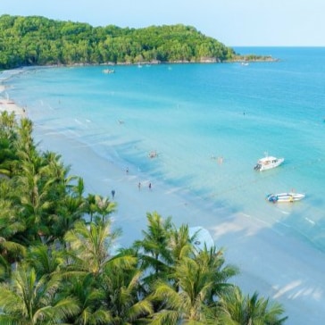 Visit David Doan's profile on GETTR. View their posts, photos, videos, and connect with them on the social platform.