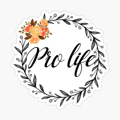 CHRISTIAN, PROLIFE (WOMB TO TOMB), TRADITIONAL MARRIAGE,  ULTRA MEGA MAGA CONSERVATIVE. **TRUTH, LOGIC, COMMON SENSE **