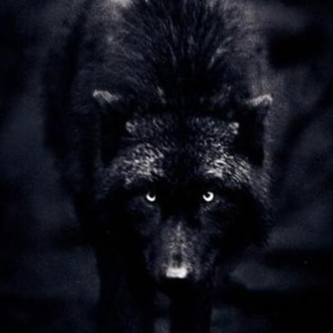 Visit Tallone2's profile on GETTR. View their posts, photos, videos, and connect with them on the social platform.