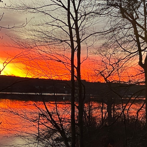 Visit carolframe 🇺🇸's profile on GETTR. View their posts, photos, videos, and connect with them on the social platform.