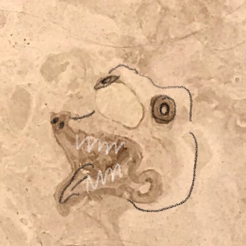 I can lead your horse to water,
but I can’t make you think.


“Those who can make you believe absurdities can make y...