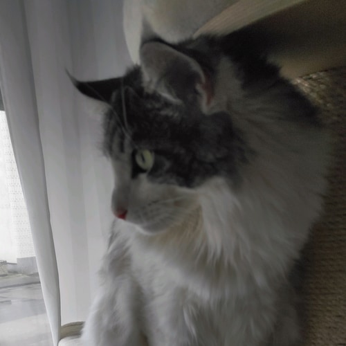 Nur AFD 💙💙💙💙💙
Gemeinsam für Freiheit und Frieden 💙💙💙💙